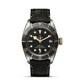 TUDOR Black Bay S&G 41mm steel and Gold M79733N-0007 image 0 thumbnail