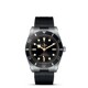 TUDOR Black Bay 54 M79000N-0002 image 0 thumbnail