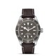 TUDOR Black Bay Fifty-Eight 925 M79010SG-0001 image 0 thumbnail