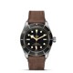 TUDOR Black Bay Fifty-Eight M79030N-0002 image 0 thumbnail