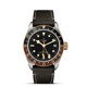 TUDOR Black Bay GMT S&G M79833MN-0003 image 0 thumbnail