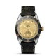 TUDOR Black Bay S&G 41mm steel and Gold M79733N-0003 image 0 thumbnail