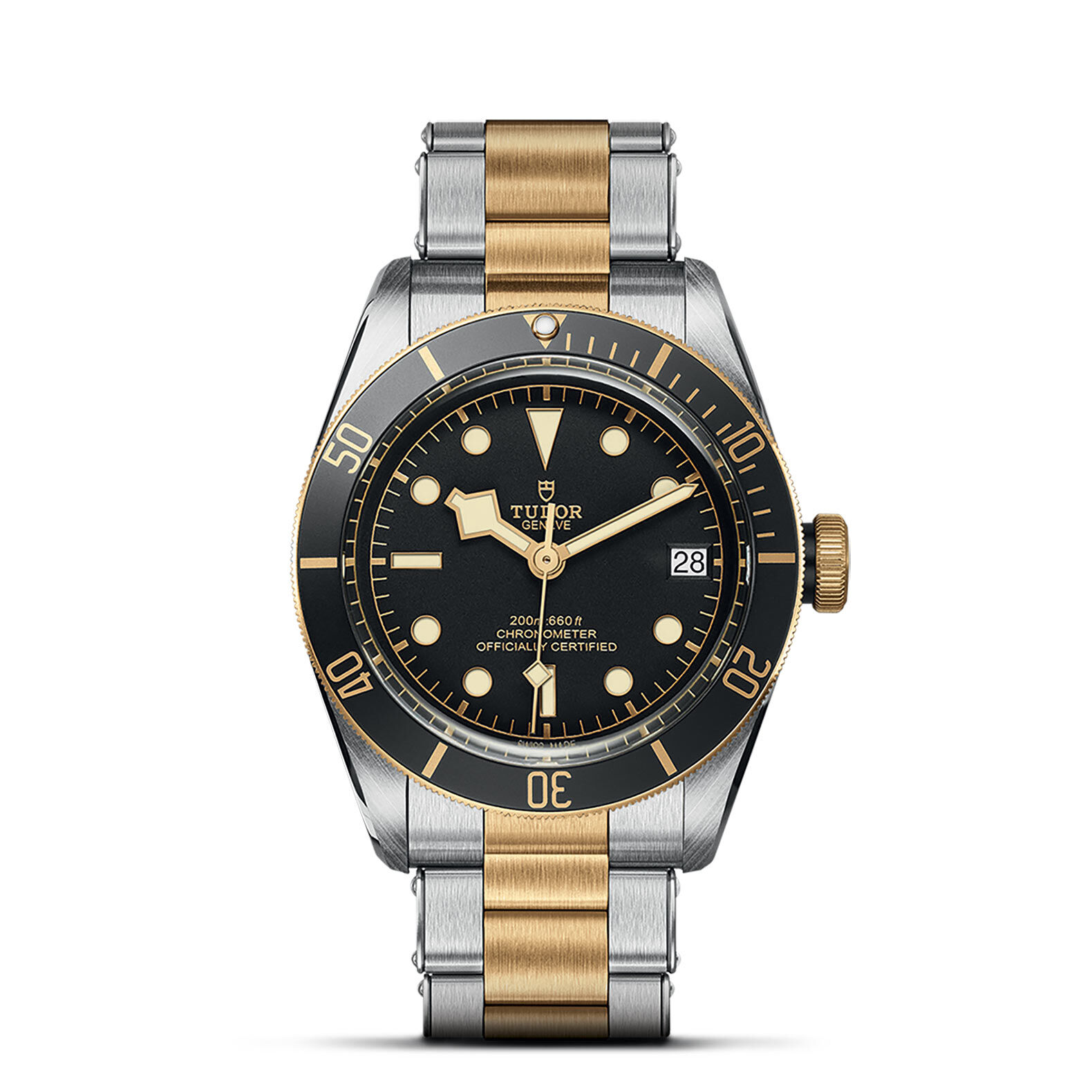 TUDOR Black Bay S&G 41mm steel and Gold M79733N-0008