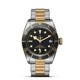 TUDOR Black Bay S&G 41mm steel and Gold M79733N-0008 image 0 thumbnail