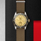 TUDOR Black Bay S&G 41mm steel and Gold M79733N-0006 image 1 thumbnail