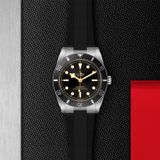 TUDOR Black Bay 54 M79000N-0002 image 1 thumbnail