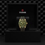 TUDOR Black Bay Fifty-Eight 18k M79018V-0001 image 3 thumbnail