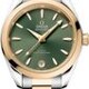 Omega 220.20.34.20.10.002 Seamaster Aqua Terra Shades Steel and Moonshine Gold image 0 thumbnail