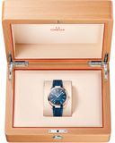 Omega 220.52.41.21.03.001 Seamaster Aqua Terra 41mm Steel and Sedna Gold on Rubber Strap image 2 thumbnail