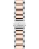 Omega 220.20.41.21.02.001 Seamaster Aqua Terra 41mm Steel and Sedna Gold on Bracelet image 3 thumbnail