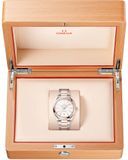 Omega 220.20.41.21.02.001 Seamaster Aqua Terra 41mm Steel and Sedna Gold on Bracelet image 5 thumbnail