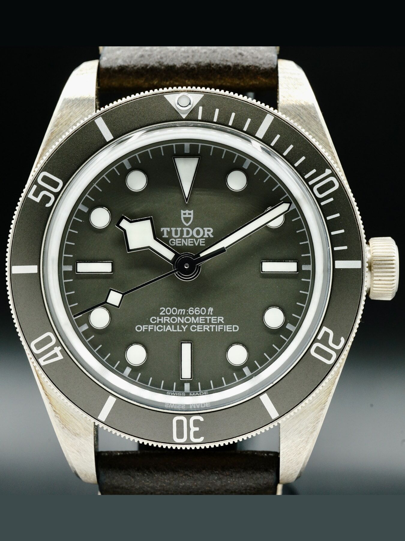 Tudor 79010SG GMT on Leather