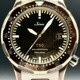 Sinn 1052.061 T50 Goldbronze image 0 thumbnail