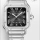 Cartier WSSA0064 Santos Steel Brown Dial 40mm image 0 thumbnail