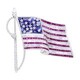 Oscar Heyman Large American Flag Brooch 201056 image 0 thumbnail