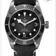 Tudor 79250BM Bronze image 0 thumbnail
