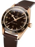 Omega Seamaster 300 Bronze Gold image 2 thumbnail