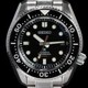 Seiko Prospex SLA021 Marinemaster image 0 thumbnail