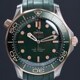Omega 210.92.42.20.10.001 Seamaster Diver 300M Green Dial Titanium Bronze Gold On Rubber Strap image 0 thumbnail