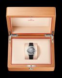 Omega 235.12.38.20.06.001 Railmaster on Leather Strap image 3 thumbnail