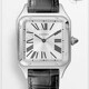 Cartier Santos Dumont W2SA0011 image 0 thumbnail