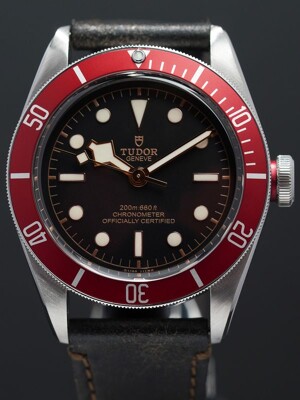 Tudor Black Bay 41 M79230R-0011