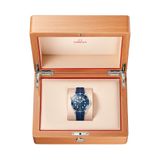 Omega Seamaster Diver 300M Co-Axial Master Chronometer on Rubber Strap image 3 thumbnail