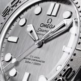 Omega 210.32.42.20.06.002 Seamaster Diver 300M image 3 thumbnail