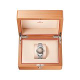 Omega 235.10.38.20.13.001 Railmaster on Bracelet image 7 thumbnail