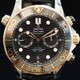 Omega 210.22.44.51.01.001 Seamaster Diver 300M Master Chronometer Steel and Gold image 0 thumbnail