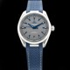 Omega 220.12.41.21.06.001 Seamaster Aqua Terra image 0 thumbnail