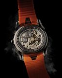 Holthinrichs Meteorite image 1 thumbnail