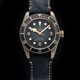 TUDOR 79250BA Black Bay Bronze 43mm image 0 thumbnail