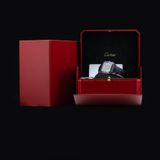 Cartier WSSA0046 Santos-Dumont image 7 thumbnail