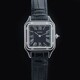 Cartier WSSA0046 Santos-Dumont image 0 thumbnail