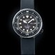 Seiko Prospex SBBN029 Marine Master Professional Limited Edition image 0 thumbnail