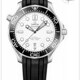 Omega 210.32.42.20.04.001 Seamaster Diver 300M image 0 thumbnail