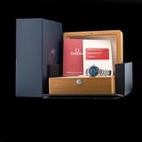 Omega 215.30.40.20.03.002 Seamaster Planet Ocean 600M Summer Blue image 9 thumbnail