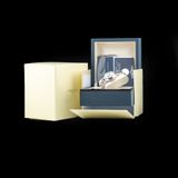 Longines L8.126.4.71.6 Primaluna Moonphase image 11 thumbnail