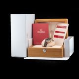 Omega Seamaster 300 Bronze Gold image 8 thumbnail