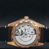 Omega Seamaster 300 Bronze Gold image 6 thumbnail