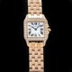 Cartier Santos Demoiselle Rose Gold WF9007Z8 image 0 thumbnail