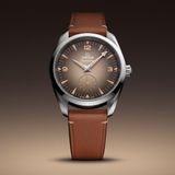 Omega 235.12.38.20.13.001 Railmaster on Strap image 4 thumbnail