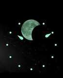 Schaumburg Watch Moon Grand Perpetual Meteorite image 2 thumbnail