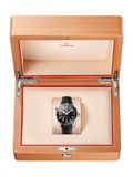 Omega Planet Ocean 600M Co‑Axial Master Chronometer 43.5 mm image 1 thumbnail