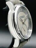 Schwarz Etienne Roma Synergy Grey WROVMA43SSCUBCLTD-A image 1 thumbnail