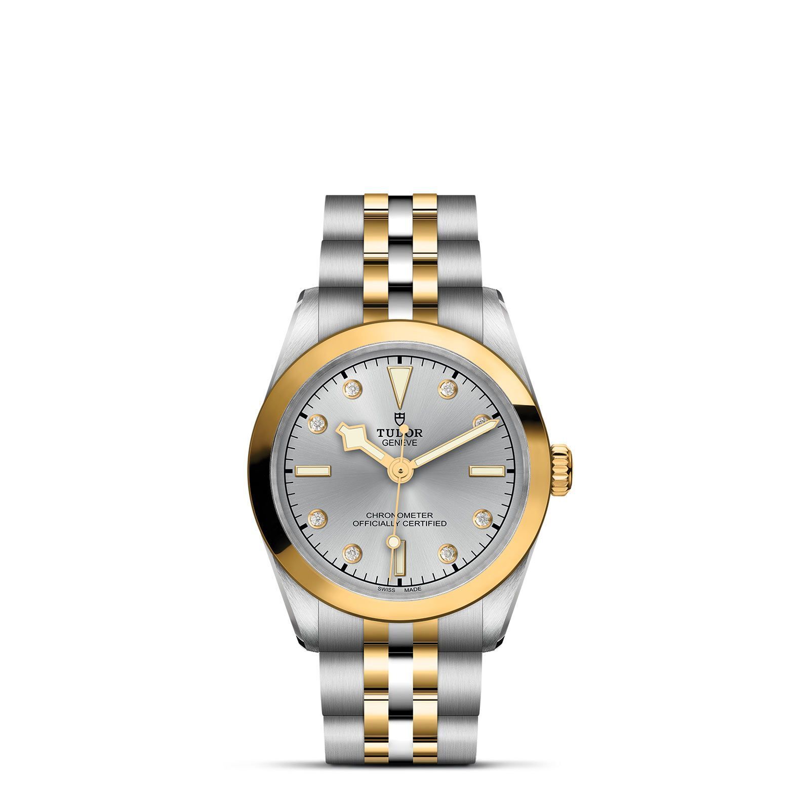 TUDOR Black Bay 31 S&G M79603-0007