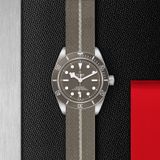 TUDOR Black Bay Fifty-Eight 925 M79010SG-0002 image 1 thumbnail