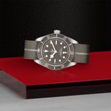 TUDOR Black Bay Fifty-Eight 925 M79010SG-0002 image 2 thumbnail