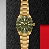 TUDOR Black Bay 58 18k M79018V-0006 image 1 thumbnail